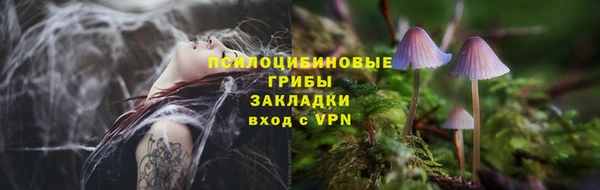 хмурый Абинск