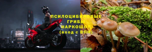 ECSTASY Алзамай