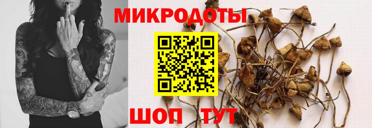 Новокузнецк  наркота  Вход с VPN  Псилоцибиновые грибы Psilocybe 