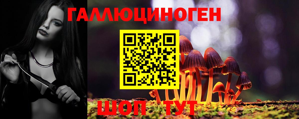 Галлюциногенные грибы мухоморы Новокузнецк